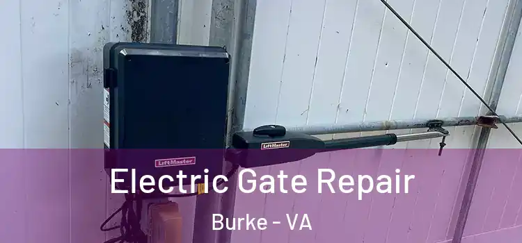 Electric Gate Repair Burke - VA
